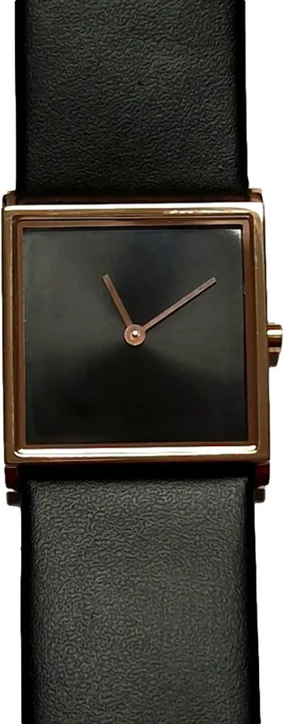 Montre Femme Danish Design IV17Q675 Légère et Hypoallergénique en Acier