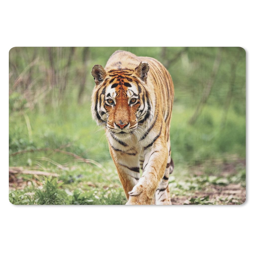 MuchoWow® Schreibtischunterlage Tiger - Wald - Laufen 60x40 Produktbild 
