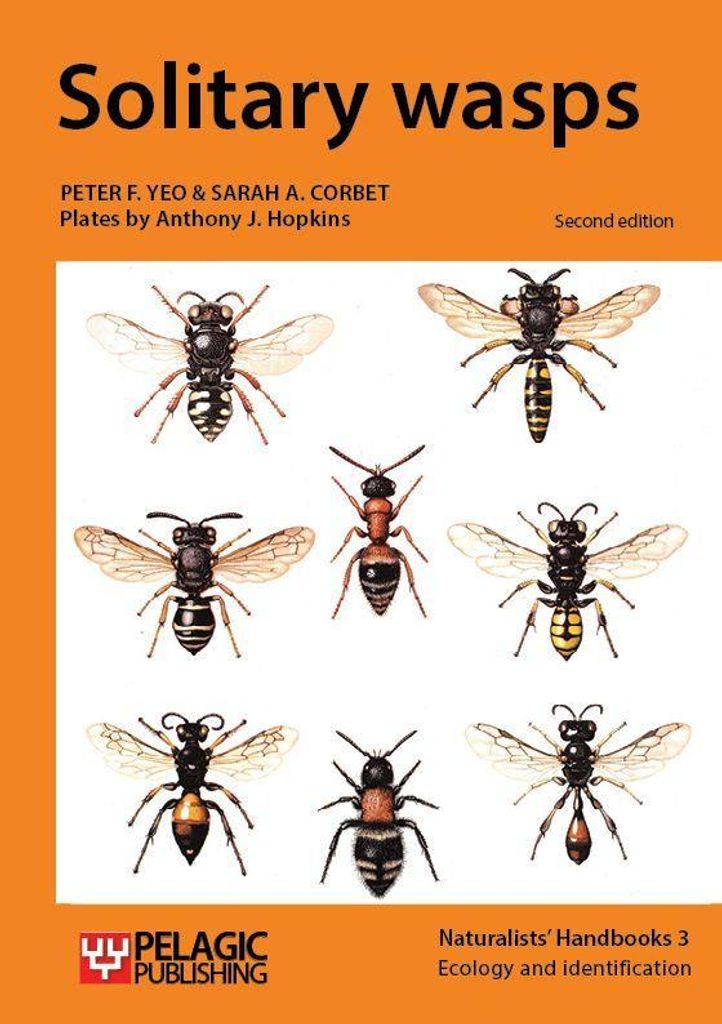 Solitary wasps.by Yeo, F New .