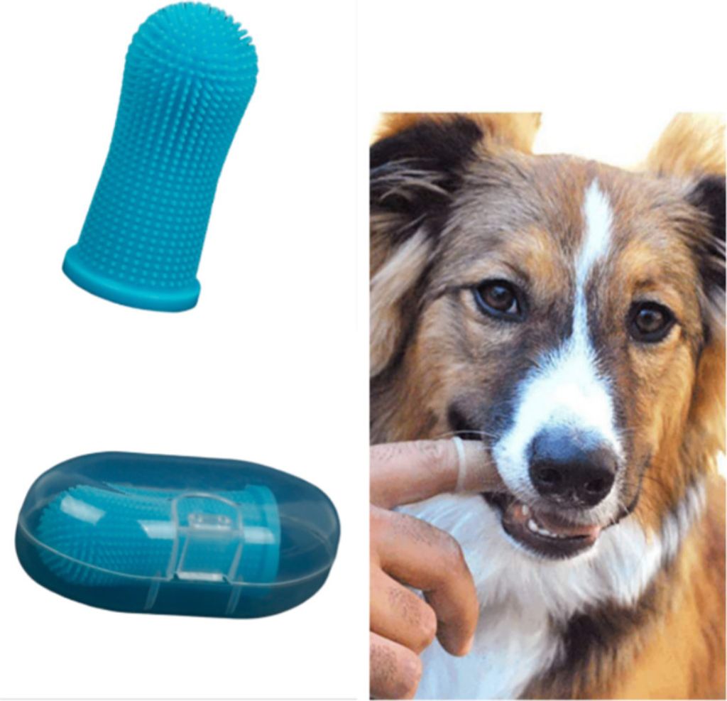 INF Fingerbürste für Haustiere – Silikonzahnbürste für Hunde und Katzen Blau