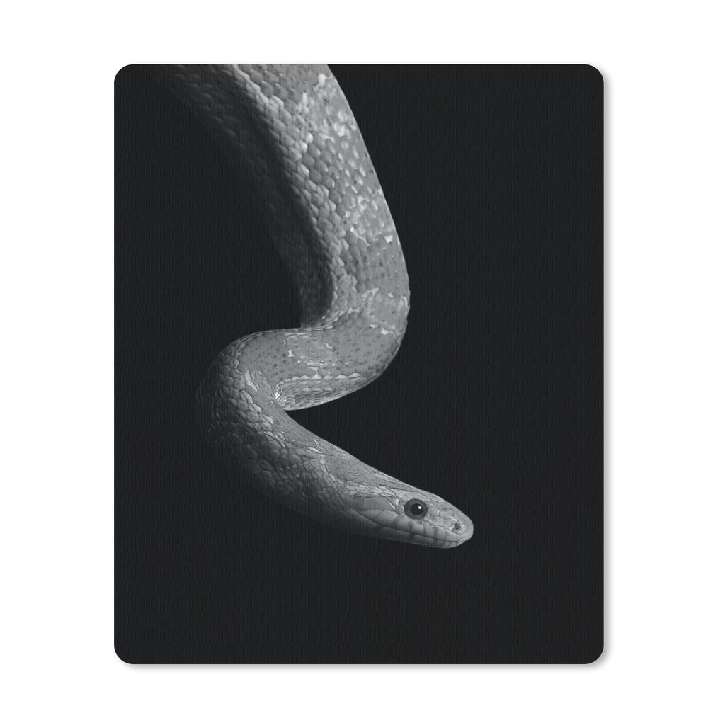 MuchoWow Mauspad Mousepad Tiere - Schlange - Schwarz - Weiß - Porträt 19x23 cm - Mousepads - Maus Mat - Pad - Mausunterlage - Mauspads - Spielen