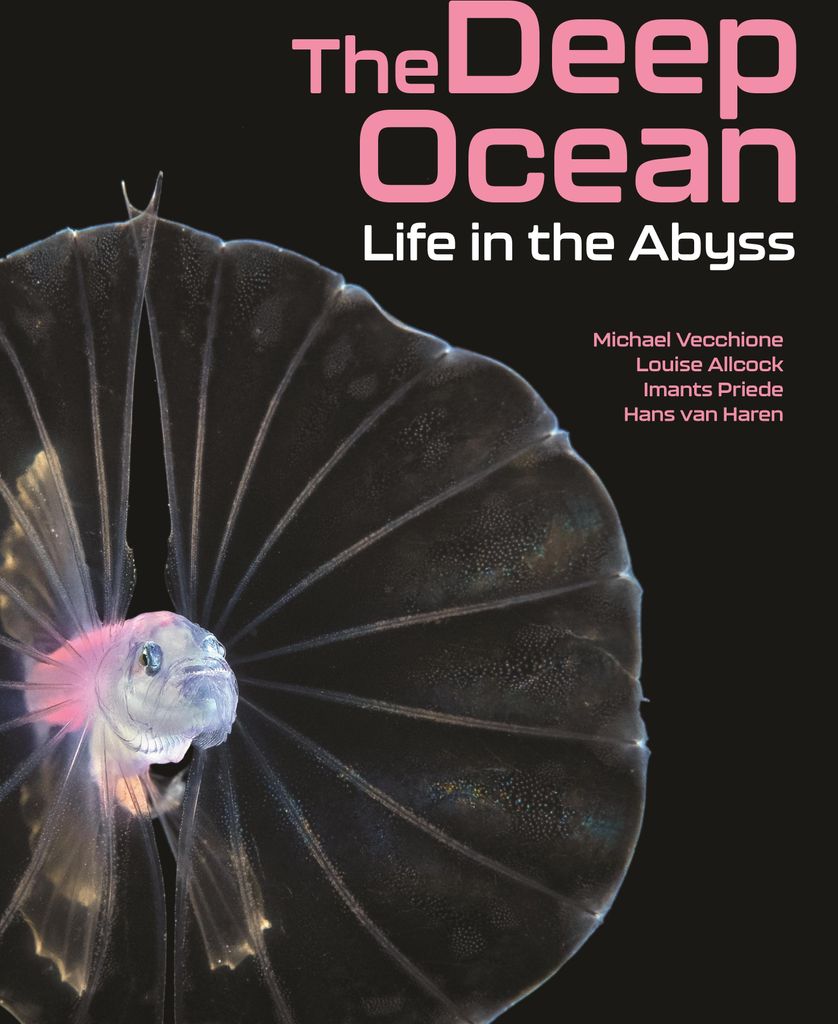 Deep Ocean – Lingua: Inglese