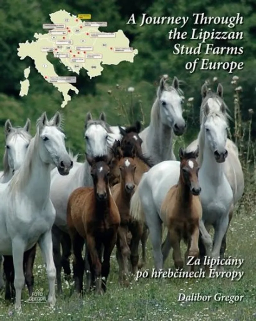 Livre Za lipicány po hřebčínech Evropy par Gregor Dalibor - Lipizzan