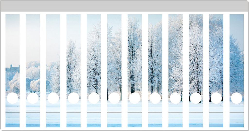 Wallario Ordnerrücken Sticker, selbstklebend für schmale Ordner, 12 Stück, Motiv Verschneite Bäume in einer Winterlandschaft