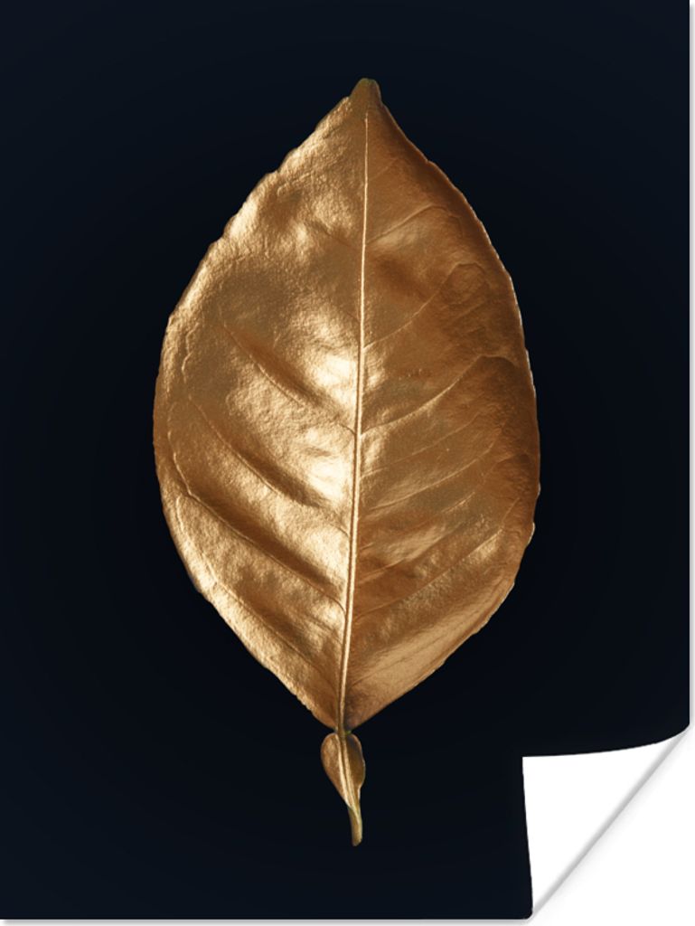 MuchoWow Poster Blätter - Chic - Gold - Pflanzen - Schwarz 120x160 cm - Wandbilder