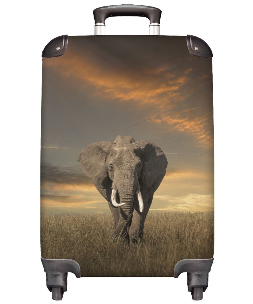 MuchoWow Koffer Handgepäck Trolley Rollkoffer Kleine Reisekoffer mit 4 Rollen - Elefant - Tiere - Gras - Natur - Cabin Size < 55x40x23 cm & 55x4...