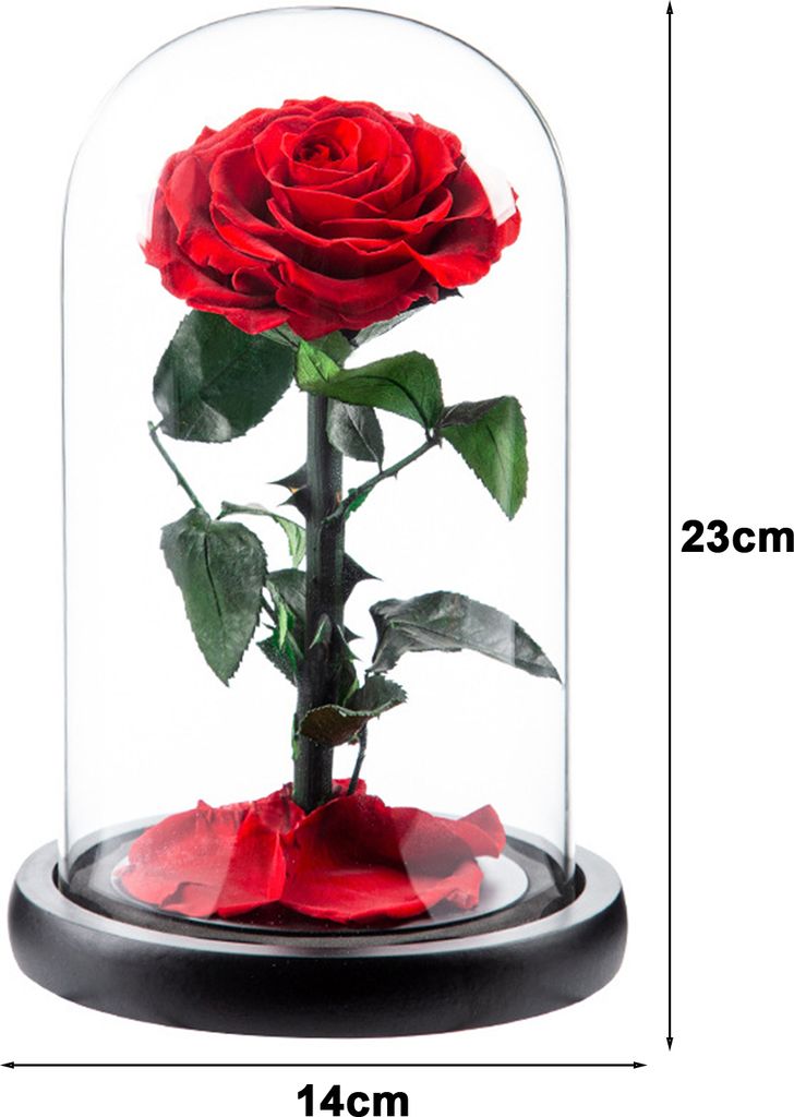 Ewige Rose in Glaskuppel, romantische ästhetische künstliche ewige Rosenblume in Glaskuppel, Geschenk, Muttertagszubehör