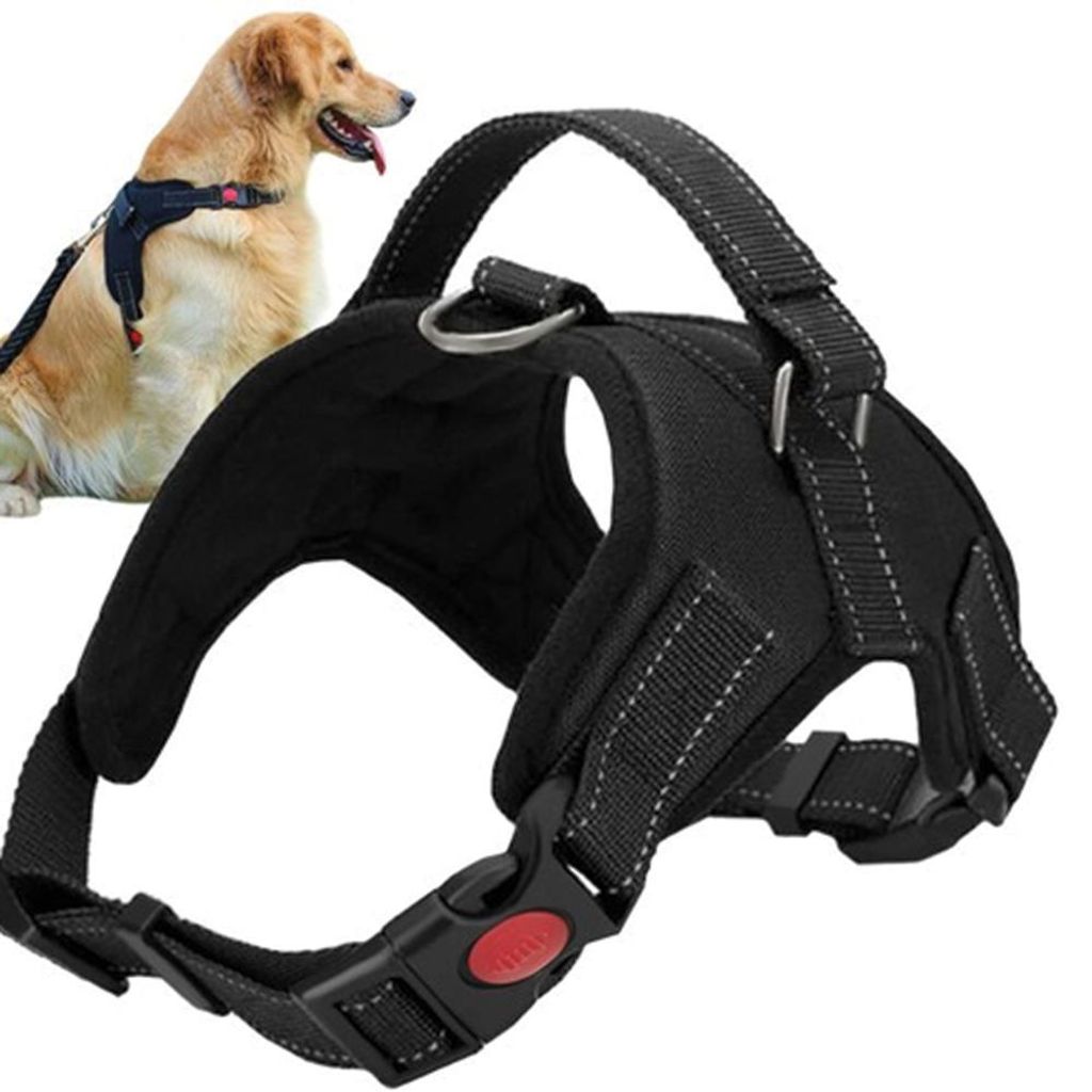 Harnais pour chien, taille M, couleur noire Image du produit 