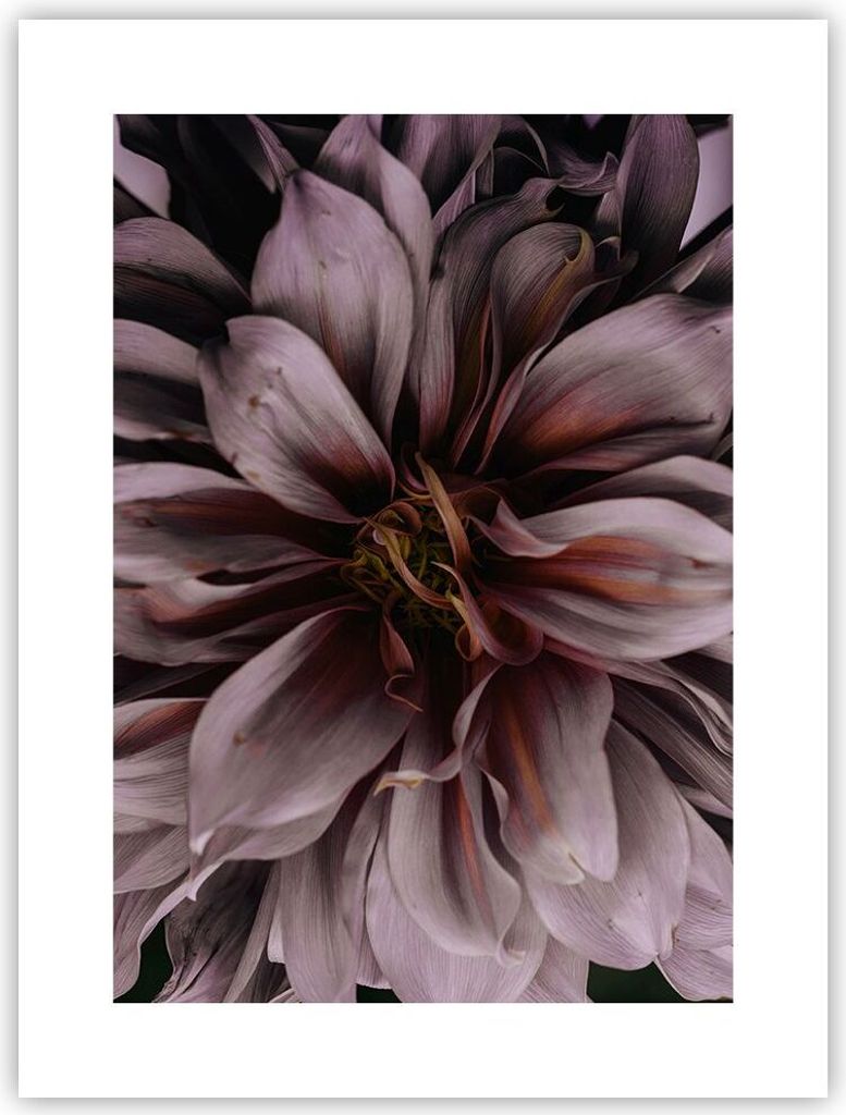 Poster - Poster ohne Rahmen - Blumenstrauß Künstlerisch Produktbild 