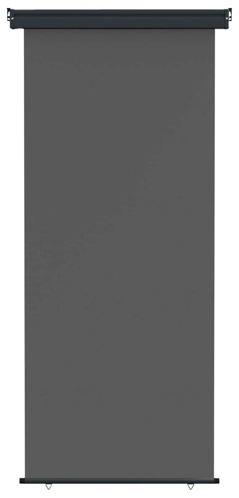vidaXL Balkon Seitenmarkise 100% Polyester Eisen Stahl