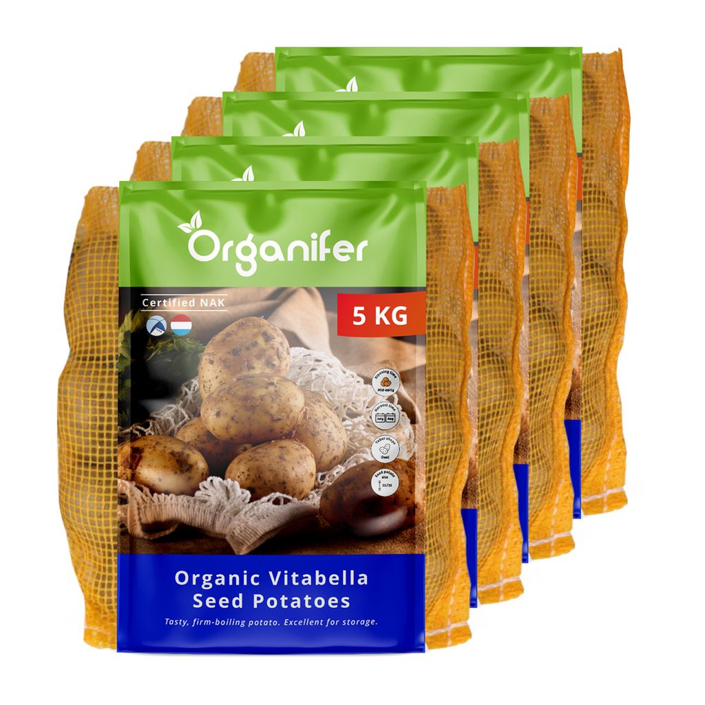 -Saatkartoffeln Vitabella A 28/35 (20 kg) - Organifer