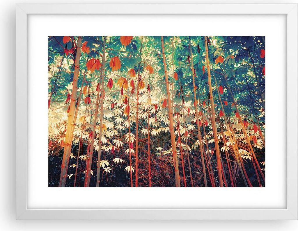 Gerahmtes Poster - Weißer Rahmen - Pflanzen tropisch orange - 40x30 cm - Wand Bild - Wanddeko - Wandbilder - Kunstposter - Wandposter - Bilderrahm...