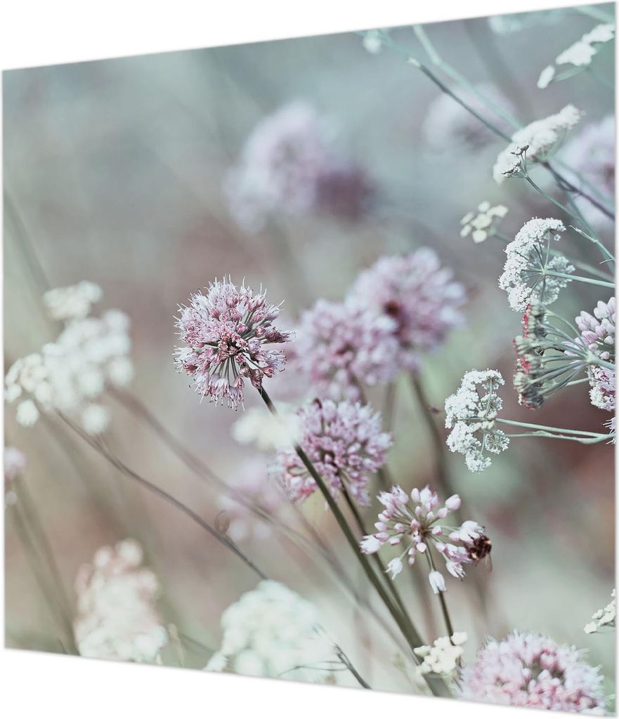 Wandtapete - Dekorative Tapete für Wohnzimmer - Tapetenfolie für Wanddekoration - 250x250 cm - Wildblumen