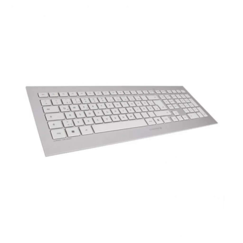 Cherry DW 8000 Ensemble Clavier et Souris Sans Fil Silver White QWERTY