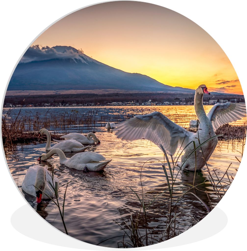 MuchoWow Rundes Wandbild - Runde Bilder Schwäne - Berg - Vögel Ø 30 cm Kreis Wanddekoration Kunststoff - Wandkreis - Wandschmuck - Schlafzimme...