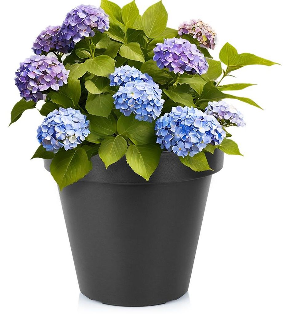 Plastový zahradní květináč černý kulatý 39 cm Obrázek produktu 