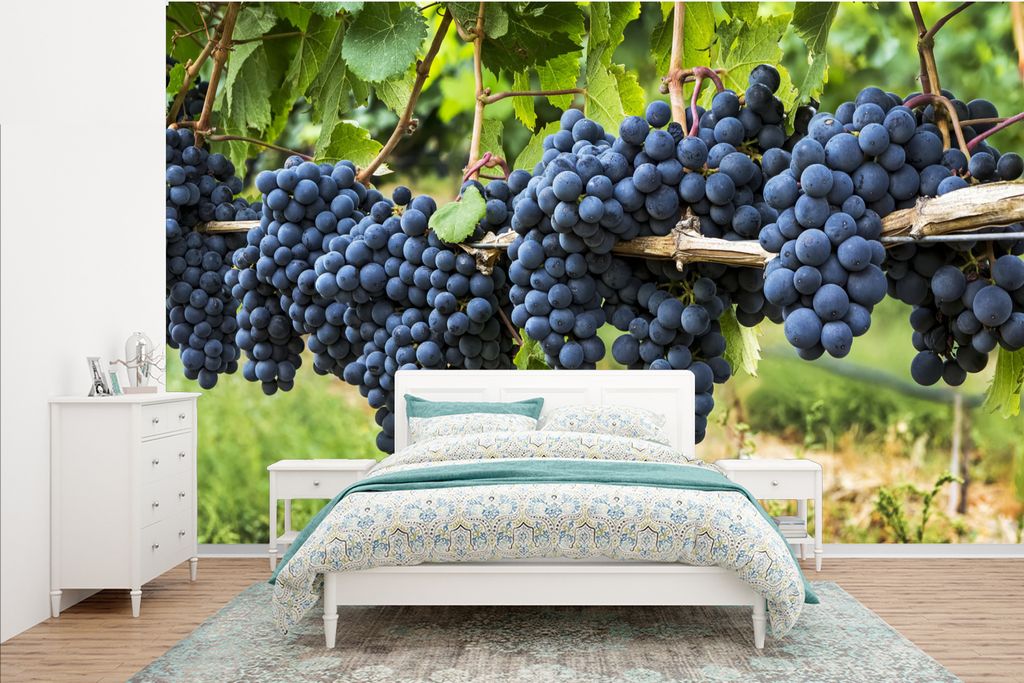 MuchoWow Fototapete für Wohnzimmer oder Schlafzimmer Wandtapete Vinyl Motivtapete Kanadische lila Trauben in einem Weinberg - 385x240 cm - Schla...