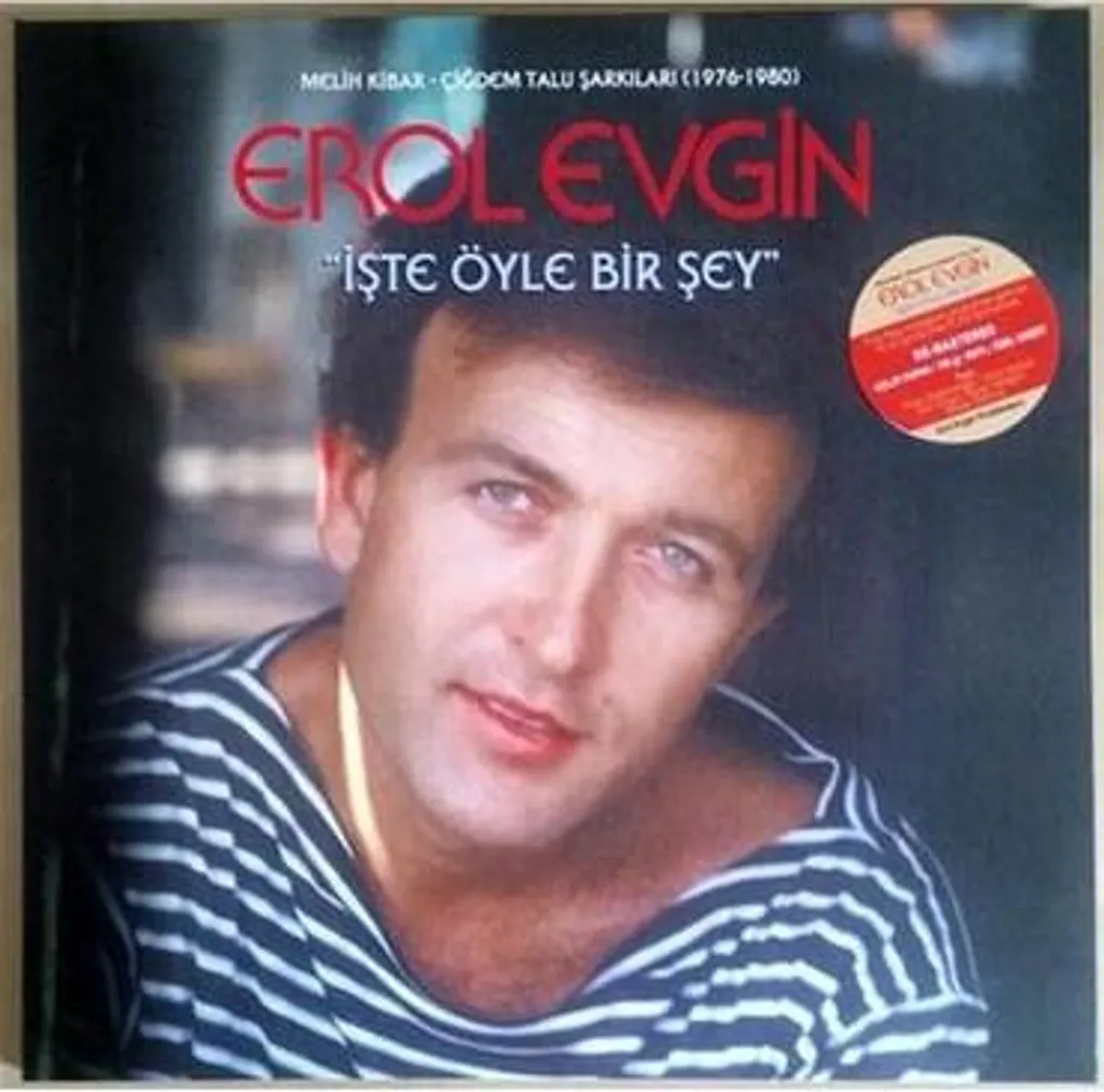 Album İşte Öyle Bir Şey d'Erol Evgin - Vinyle Collector 1976-1980 Rare