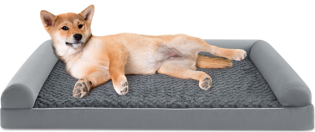 A dog is lying on a dog bed.