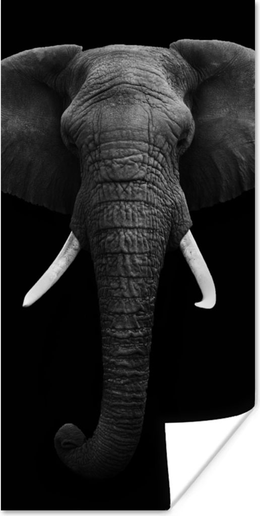 MuchoWow Poster Elefant - Wildtiere - Schwarz - Weiß - Porträt 60x120 cm - Wandschmuck