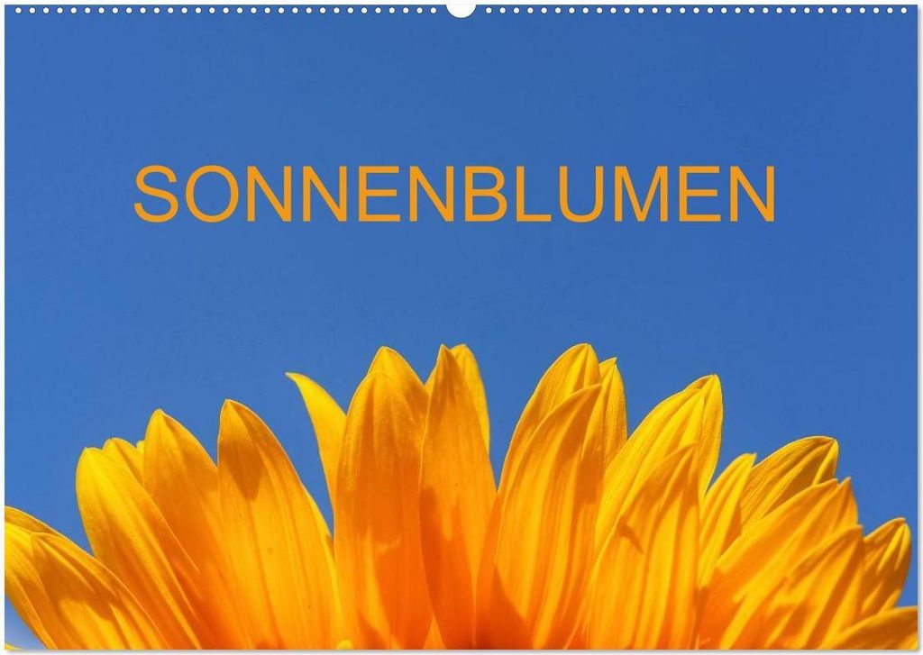 Sonnenblumen (Wandkalender 2026 DIN A2 quer), CALVENDO Monatskalender