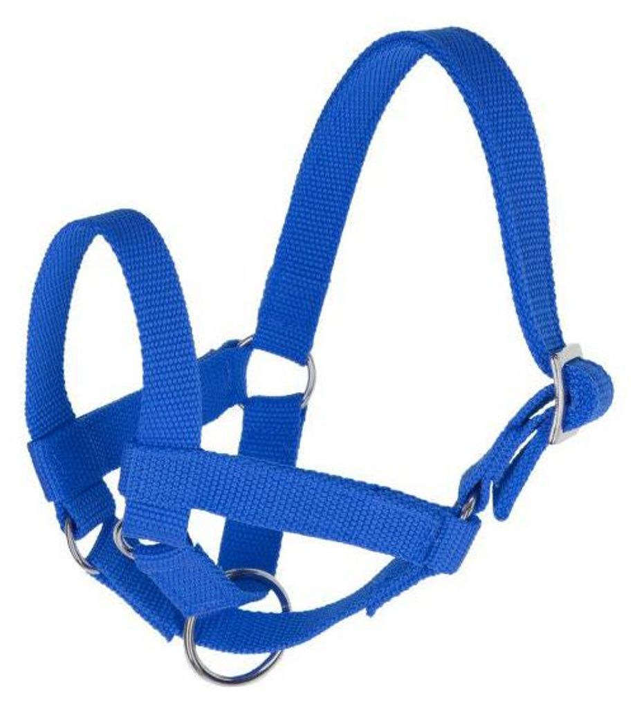 Lamahalfter blau gr 60