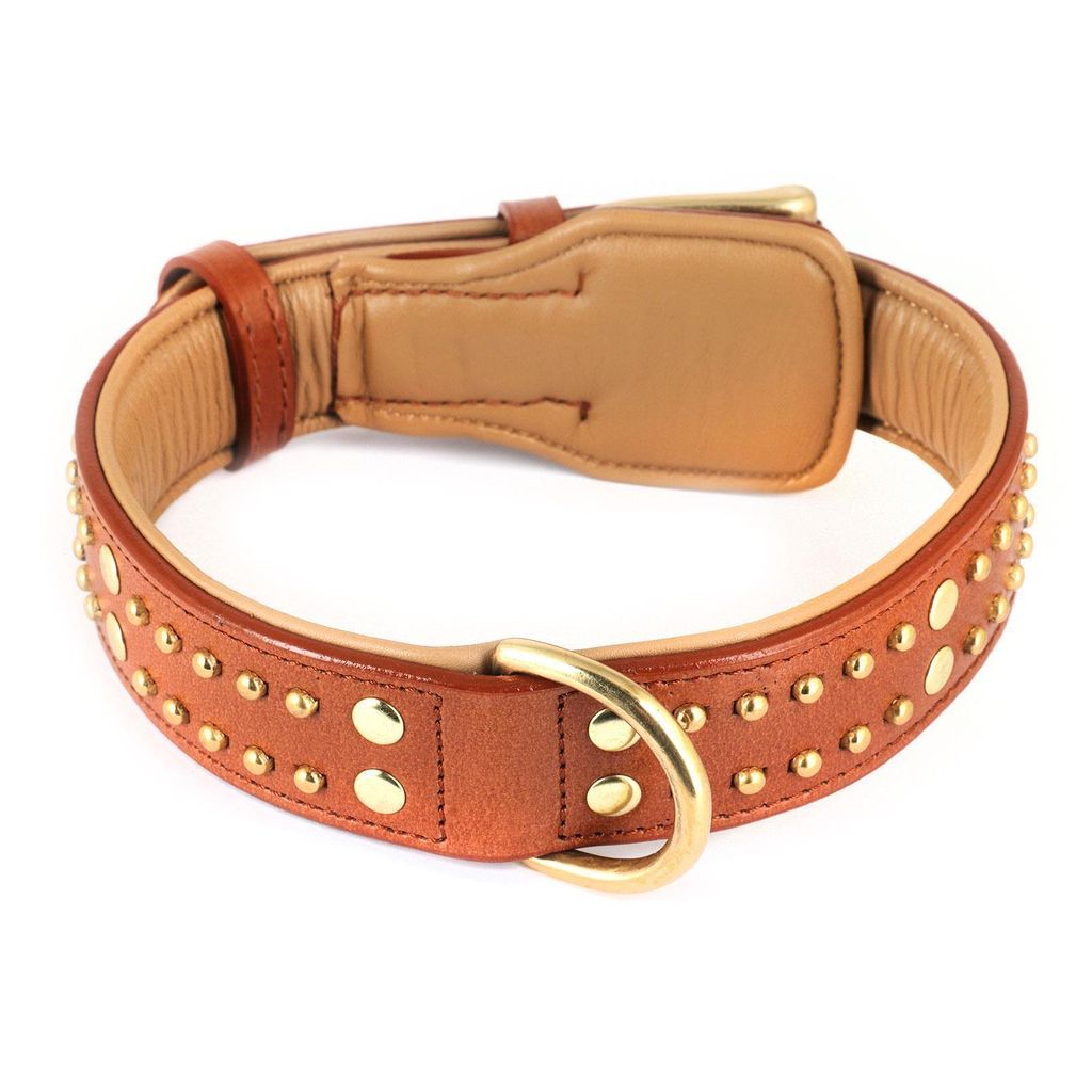 Up Country Big Bones Hundehalsband – Breites Design In Größe XL (1 Zoll), Robust & Waschbar