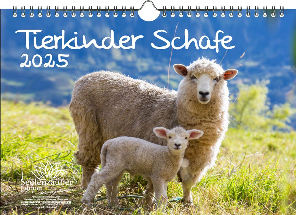 Tierkinder Schafe DIN A4 Kalender für 2025 Schafe und Lämmchen - Seelenzauber