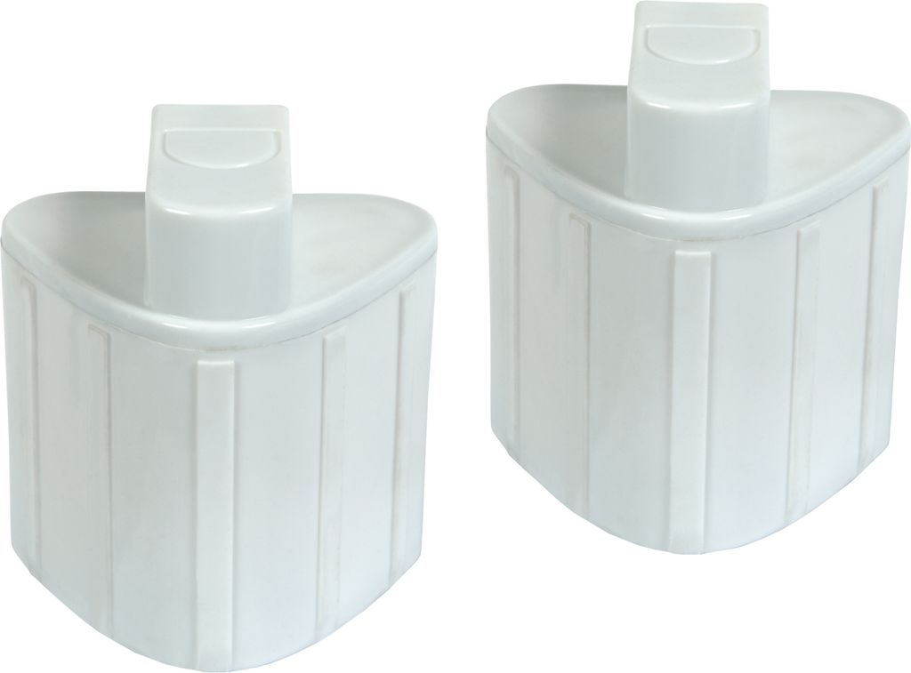 Two white water filter cartridges for a steam iron are shown against a white background.
