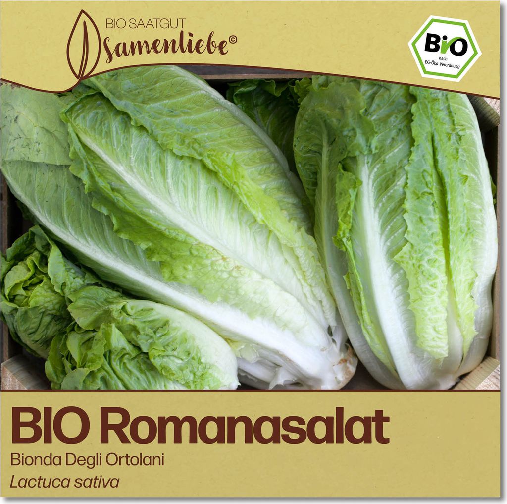 Samenliebe Romanasalat Samen Bionda Degli Ortolani knackiger Romasalat großer Salat grün 500 Samen samenfestes Gemüse Saatgut für Gewächshaus ...