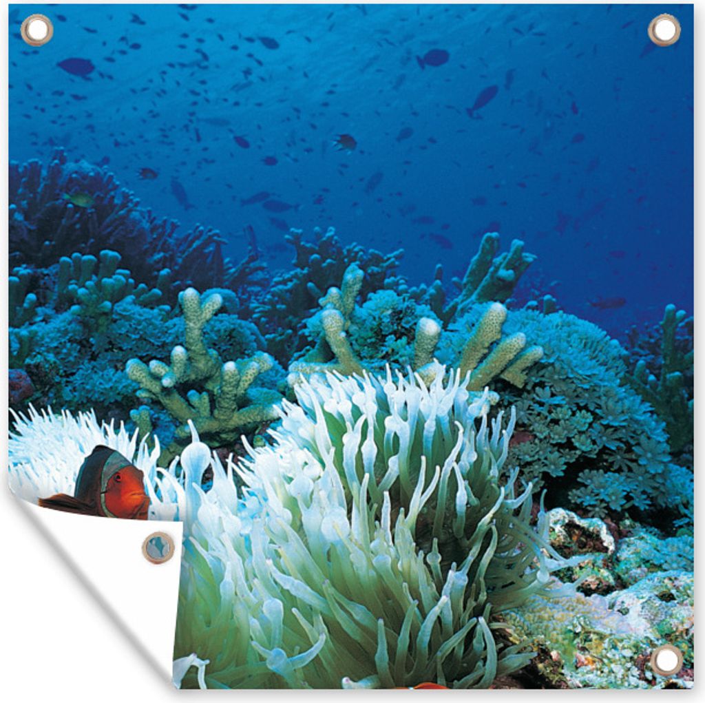 MuchoWow 50x50 cm Outdoor-Poster Gartendeko Sichtschutz Garten Poster für den Garten Unterwasserwelt mit Clownfischen