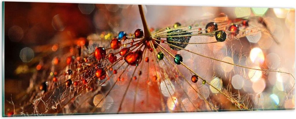 Bilder auf glas - Spinnennetz modern - 90x30cm - Glasbilder - Wandbilder - Kunstdruck - zum Aufhängen bereit - Wanddekoration aus Glas - Glas Bild...