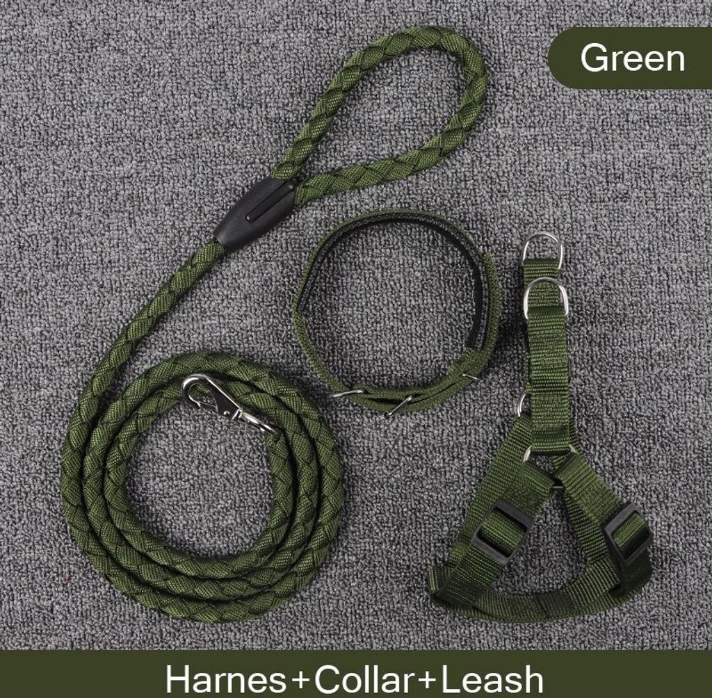 Leine + Geschirr + Halsband Easy Green L Produktbild 