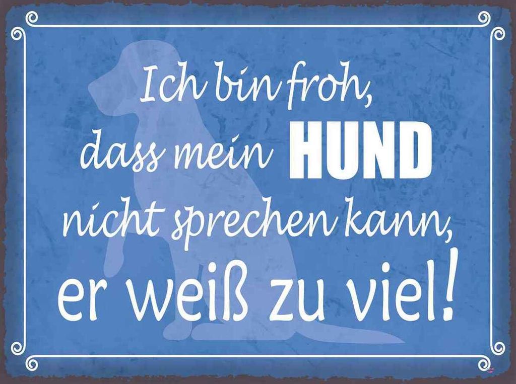 vianmo Holzschild 30x40 cm froh mein Hund nicht sprechen Tier Haustier