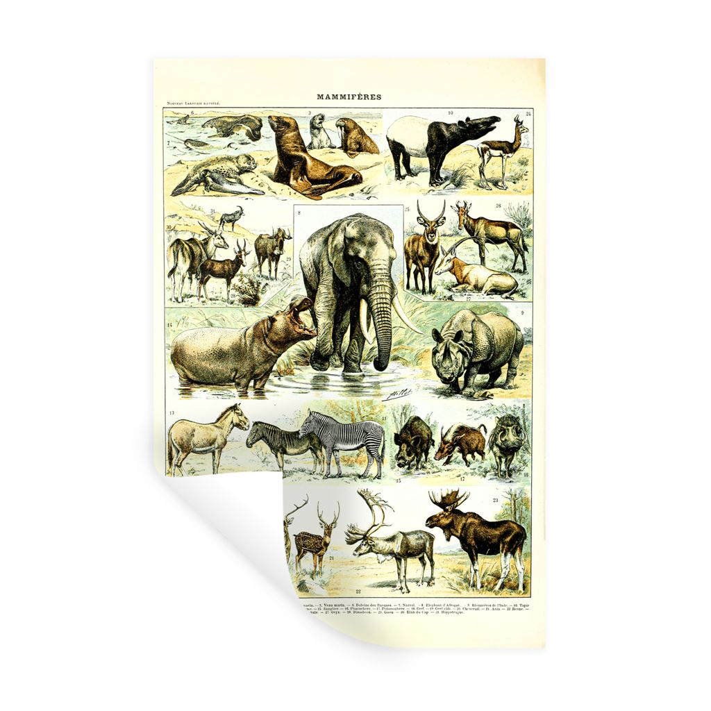 MuchoWow Wandtattoo Wandsticker Wandaufkleber Tiere - Elefanten - Hirsche 20x30 cm Selbstklebend und Repositionierbar - Sticker - Dekorfolie
