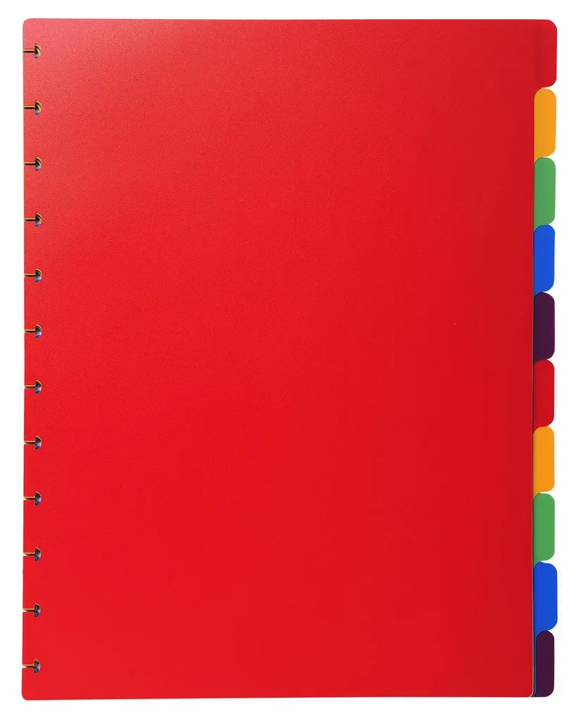 Intercalaires Plastifiés A4 Maxi 10 Couleurs pour Classeur à Levier