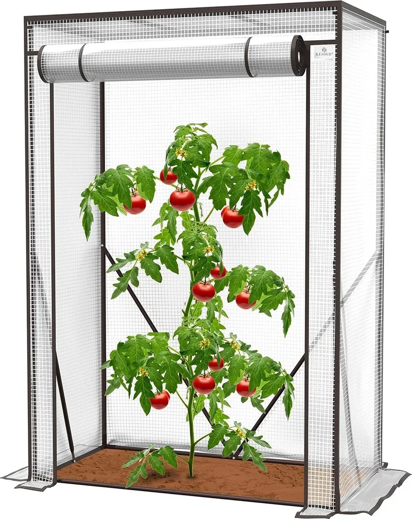 Serre de Culture Tunnel Renforcée pour Potager et Potager de Tomate