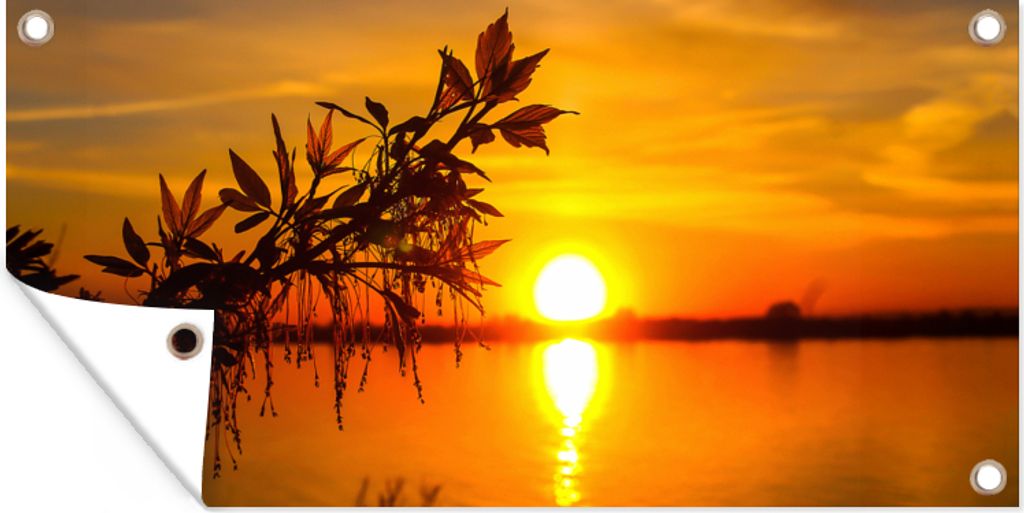 MuchoWow 60x30 cm Outdoor-Poster Gartendeko Sichtschutz Garten Poster für den Garten Sonnenuntergang - Wasser - Pflanzen - Orange