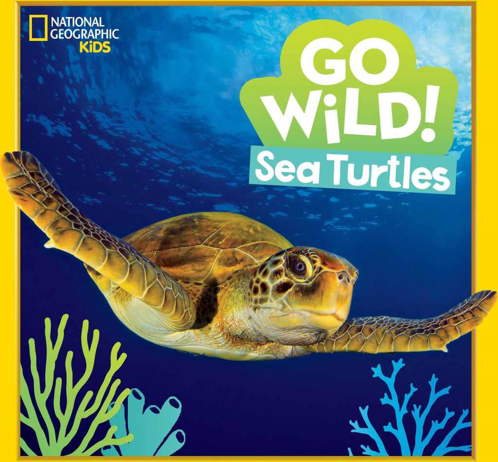 Go Wild! Sea Turtles