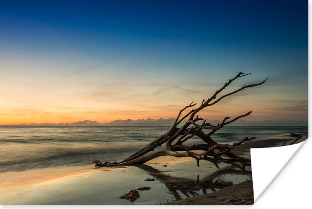 MuchoWow Poster Ostsee - Zweig - Silhouette 30x20 cm - Plakate - Print