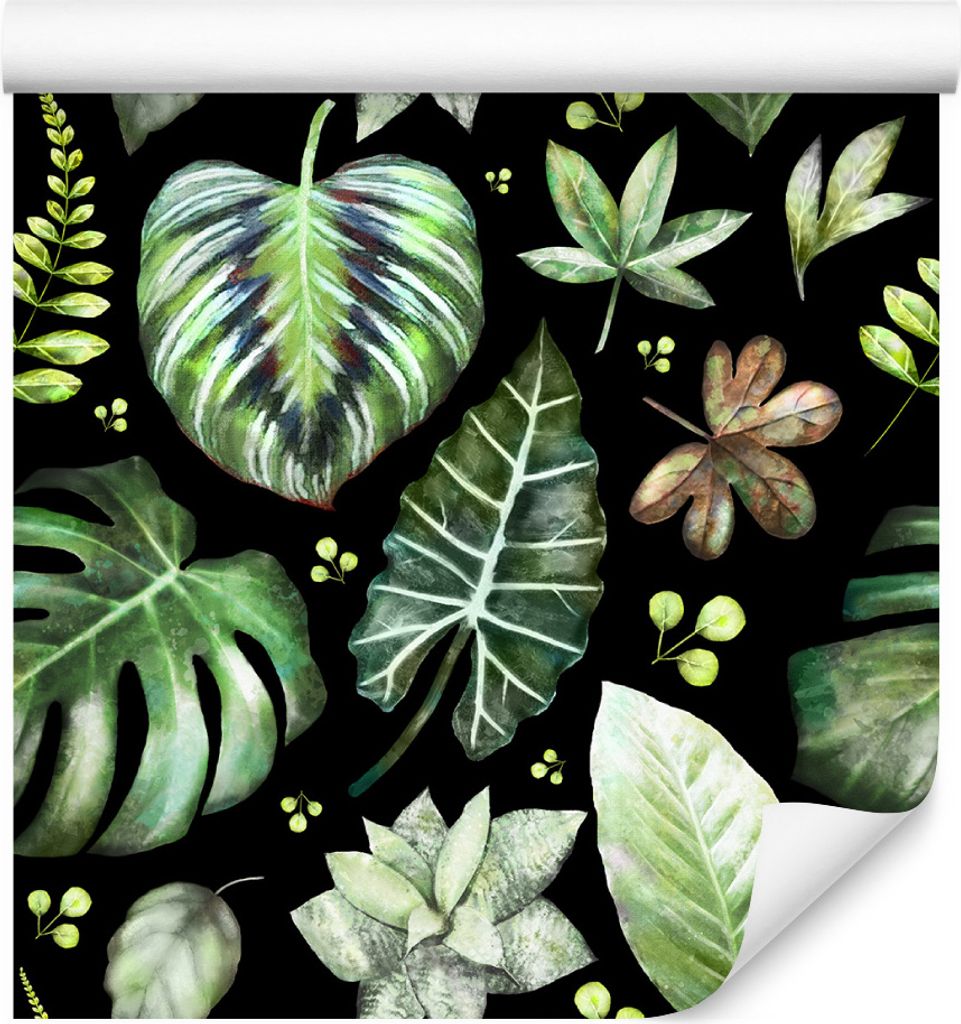 10m VLIES TAPETE Rolle Pflanzen Blätter Monstera Tropen Natur Aquarell XXL