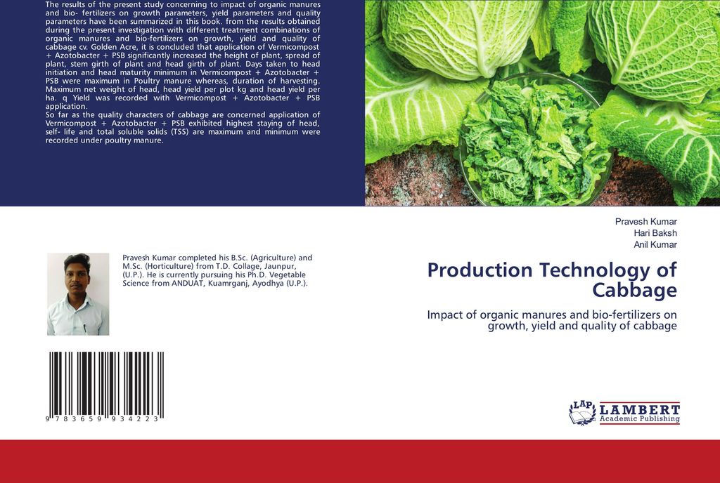 Production Technology of Cabbage