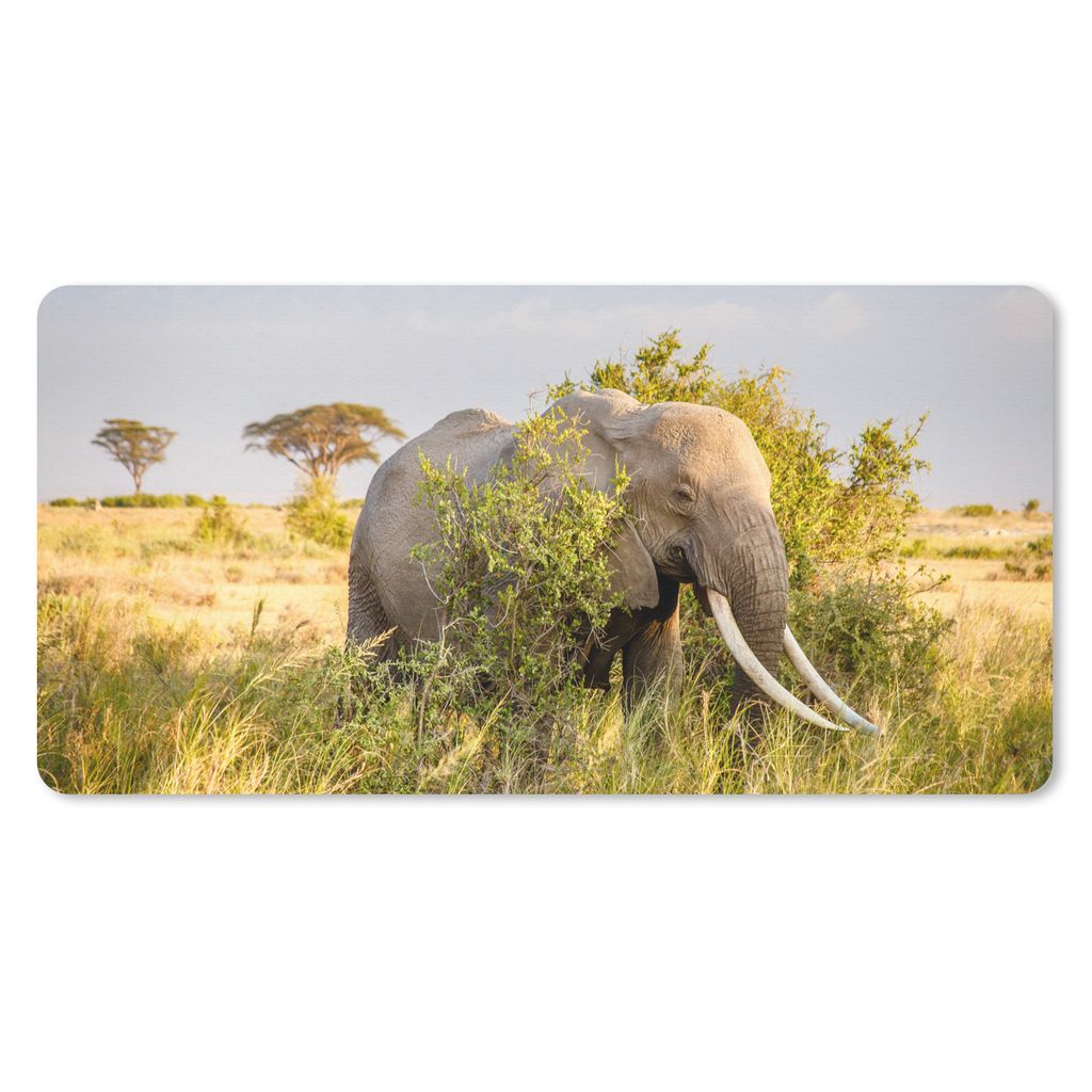 MuchoWow Schreibtischunterlage Elefant - Tiere - Gras - Grün - Berg 80x40 cm - XXL Mauspad - Gaming Mauspad