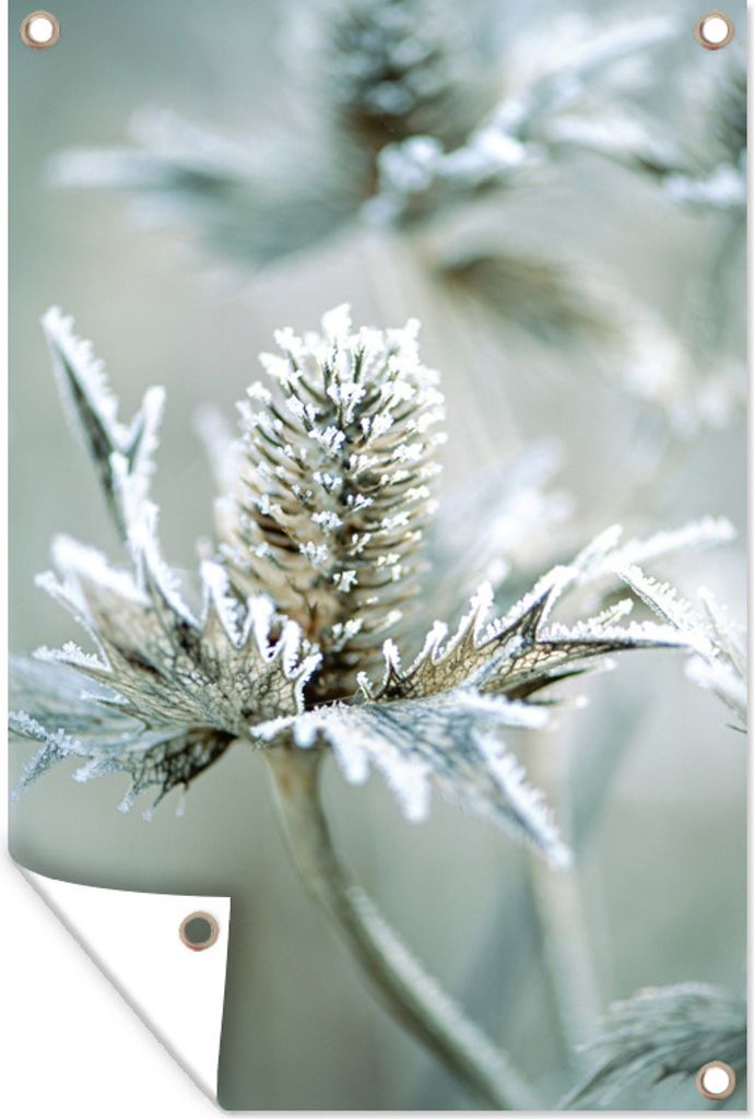 MuchoWow 40x60 cm Outdoor-Poster Gartendeko Sichtschutz Garten Poster für den Garten Blume - Grün - Eiscreme