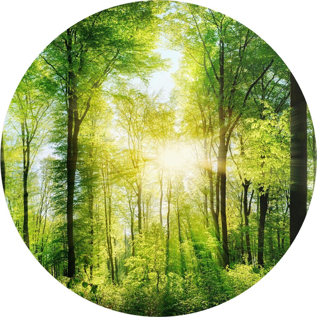 DEQORI Fototapete rund Ø 120 cm 'Sonne durchbricht Wald' Wand Tapete Leinwand Sticker