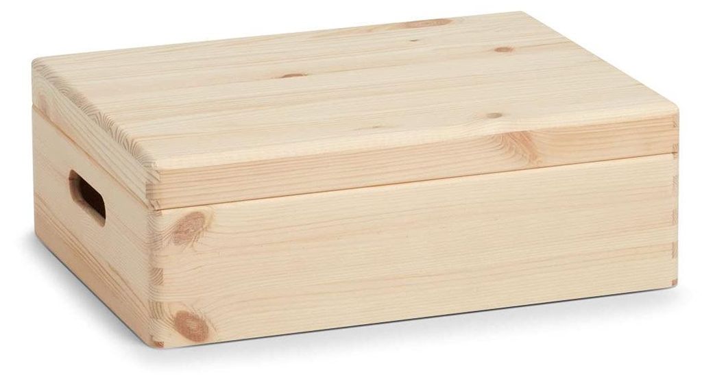 Skladovací kontejner s víkem, organizér 17 l, ZELLER Obrázek produktu 