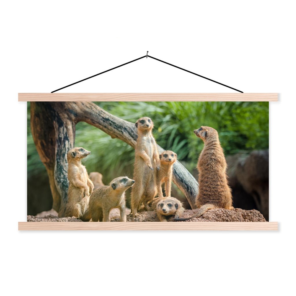 MuchoWow Textilposter Familie - Tiere - Erdmännchen 60x30 cm mit holzfarbenen Rahmen - Dekoration