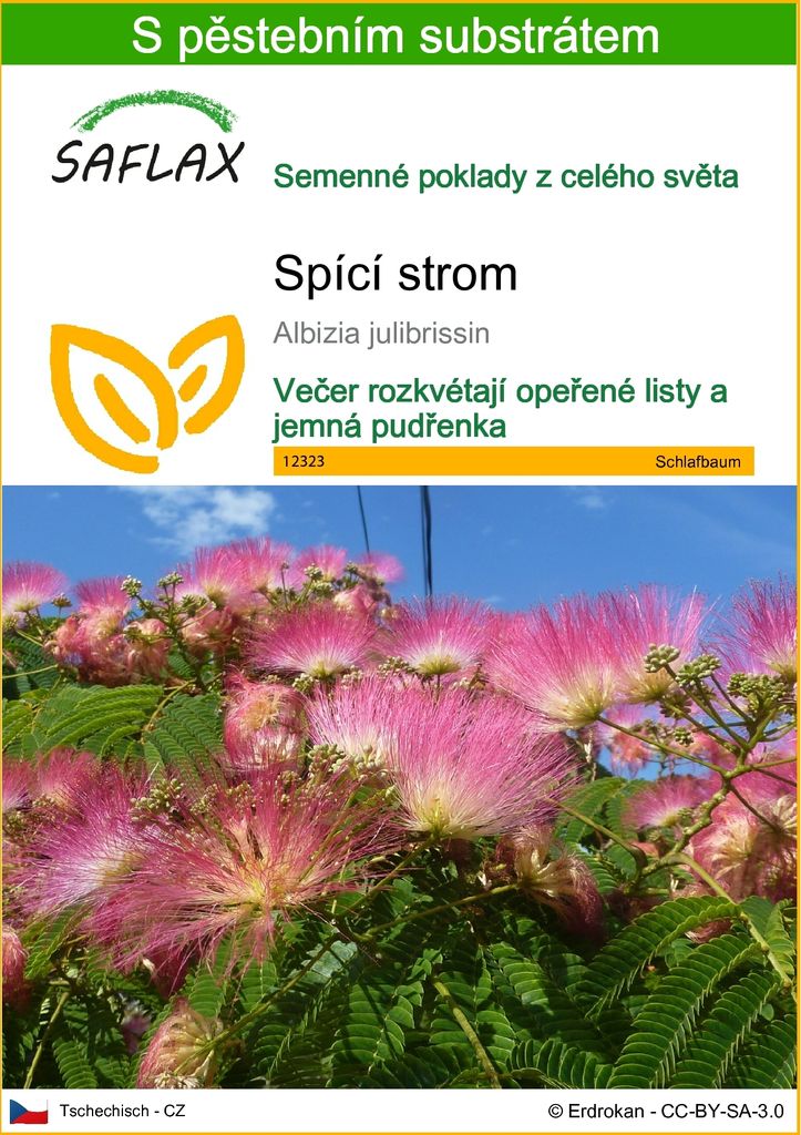 SAFLAX - spící strom - Albizia julibrissin - 50 Semena - S Obrázek produktu 