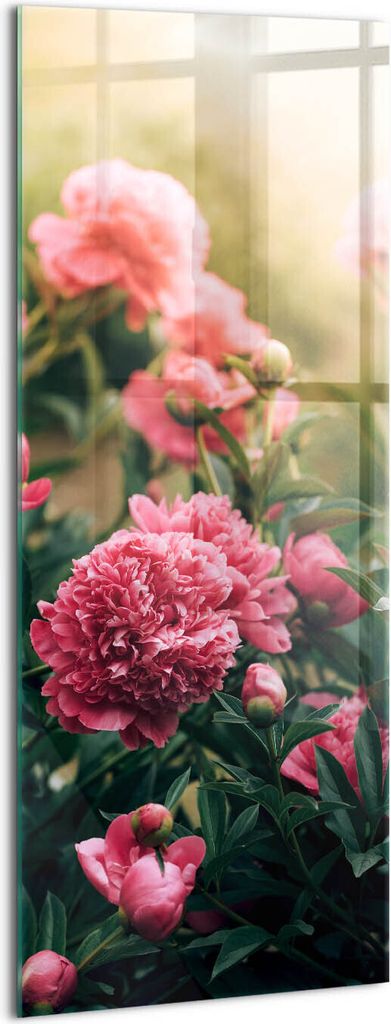 Designer Glasbild - Wandbild - Glas Bild - 50x125 cm - Rosa Blumen Auf Der Wiese