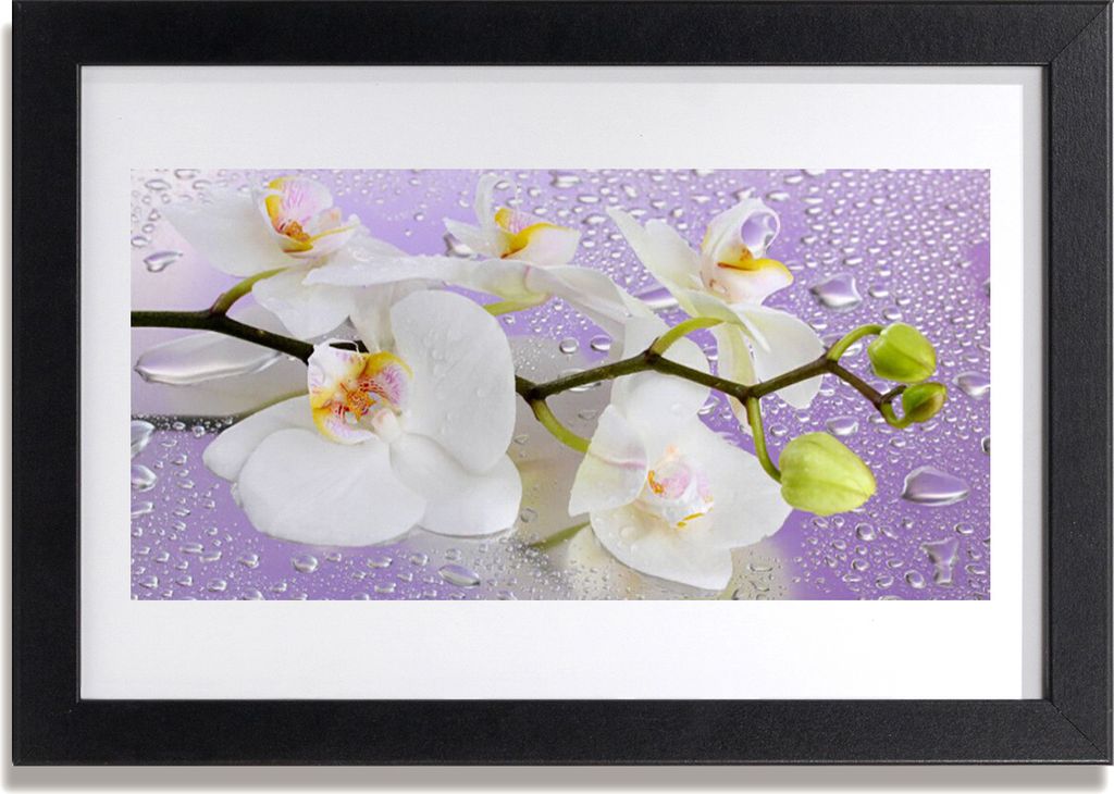 Bild 30x20 MDF-Rahmen Wandkunst Blumen Pflanzen Natur